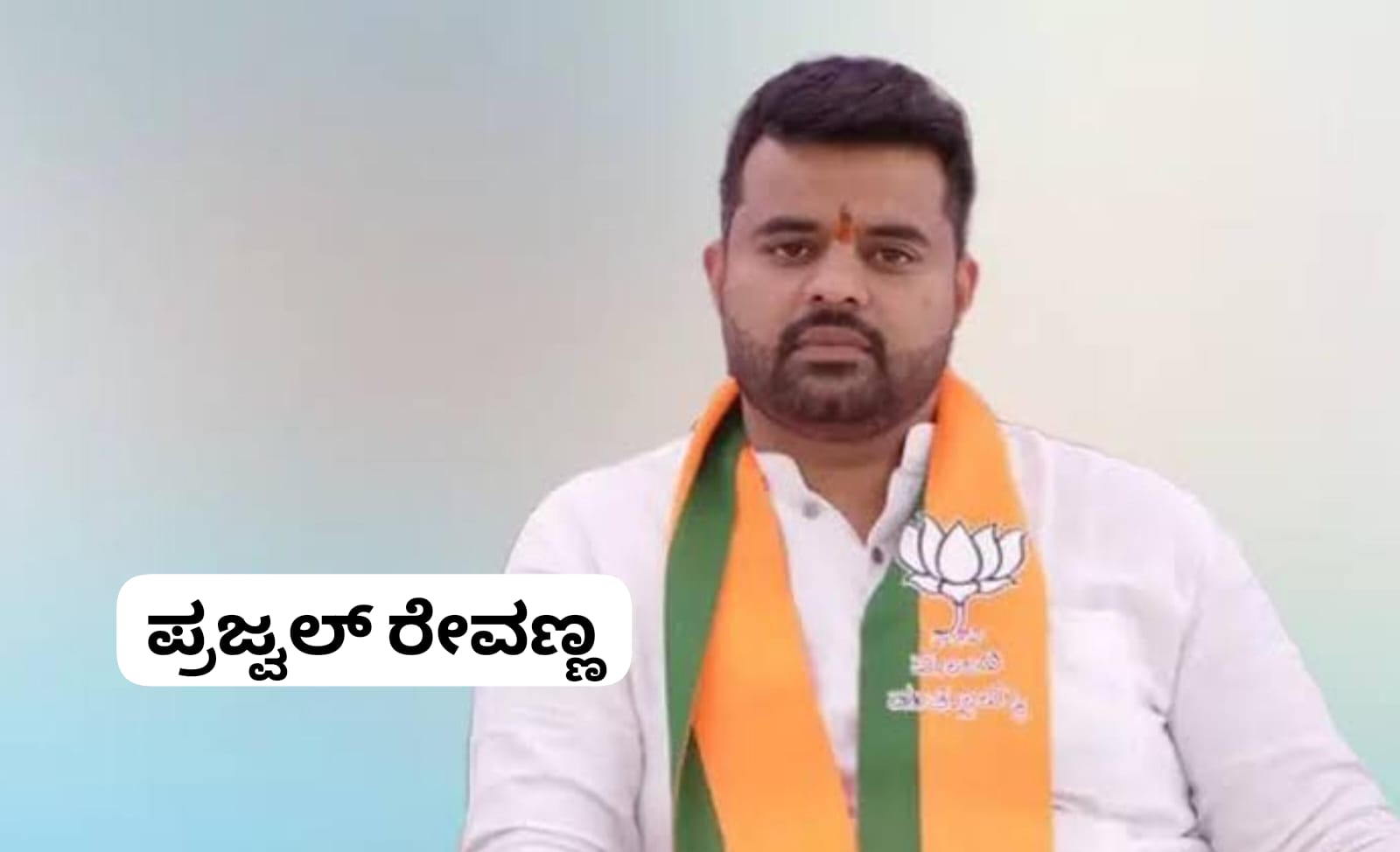 ಅತ್ಯಾಚಾರ ಪ್ರಕರಣದ ವಿಚಾರಣೆಯಲ್ಲಿ ವಿಳಂಬ; ಜಾಮೀನಿಗೆ ಮನವಿ ಮಾಡಿದ ಪ್ರಜ್ವಲ್