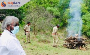 ಹುಲಿಗಳ ಮರಣೋತ್ತರ ಪರೀಕ್ಷೆ ಪೂರ್ಣ..!