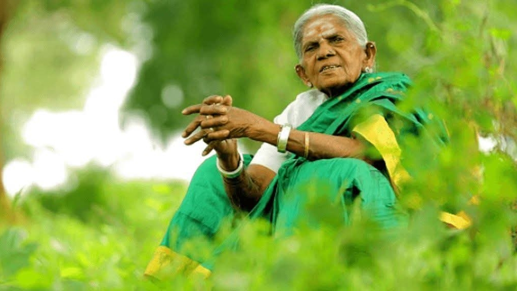 Special Story-ಬೇಲೂರಿನಲ್ಲಿ ಮ್ಯೂಸಿಯಂ: ಸಾಲುಮರದ ತಿಮ್ಮಕ್ಕರ ಕಡೆಯ ಆಸೆ ಈಡೇರಿಕೆಗೆ ಒಪ್ಪಿದ ಸರ್ಕಾರ