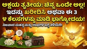 ಅಕ್ಷಯ ತೃತೀಯ 2026: ಬರಿ ಚಿನ್ನ ಮಾತ್ರವಲ್ಲ, ಅದೃಷ್ಟದ ಬಾಗಿಲು ತೆರೆಯಲು ಹೀಗೆ ಮಾಡಿ!