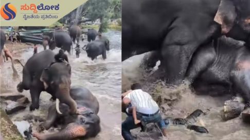 ಕಣ್ಣೆದುರೇ ಹೆಂಡತಿ ಮೃತ್ಯು: ಮಗುವನ್ನು ಎದೆಗೆ ಅಪ್ಪಿ ಪ್ರಾಣ ಉಳಿಸಿದ ಪತಿ, ದುಬಾರೆ ದುರಂತದ ಕಣ್ಣೀರಿನ ಕಥೆ!