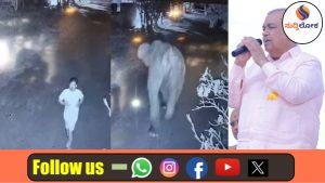 ಬೆಂಗಳೂರು ಹೊರವಲಯದಲ್ಲಿ ಕಾಡಾನೆ ಅಟ್ಟಹಾಸ: ಮುಂಜಾನೆ ವಾಕಿಂಗ್‌ಗೆ ತೆರಳಿದ್ದ ವೃದ್ಧ ಬಲಿ; ಆನೆ ಸೆರೆಗೆ ದುಬಾರೆಯಿಂದ ಕುಮ್ಕಿ ಪಡೆ