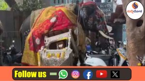 ಶಿವಮೊಗ್ಗ ಜಂಬೂಸವಾರಿ ಅವಘಡ ಬೆನ್ನಲ್ಲೇ ಎಚ್ಚೆತ್ತ ಸರ್ಕಾರ: ಇನ್ಮುಂದೆ ಉತ್ಸವಗಳಲ್ಲಿ ಆನೆ ಬಳಸಲು ಕಟ್ಟುನಿಟ್ಟಿನ ನಿಯಮ ಜಾರಿ!