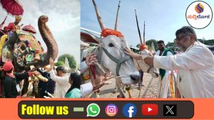 ಜಂಬೂ ಸವಾರಿಗೂ ಮುನ್ನ ಗಜಪಡೆ, ಹಳ್ಳಿಕಾರ್ ತಳಿಗೆ ಸಿಎಂ ವಿಶೇಷ ಪೂಜೆ